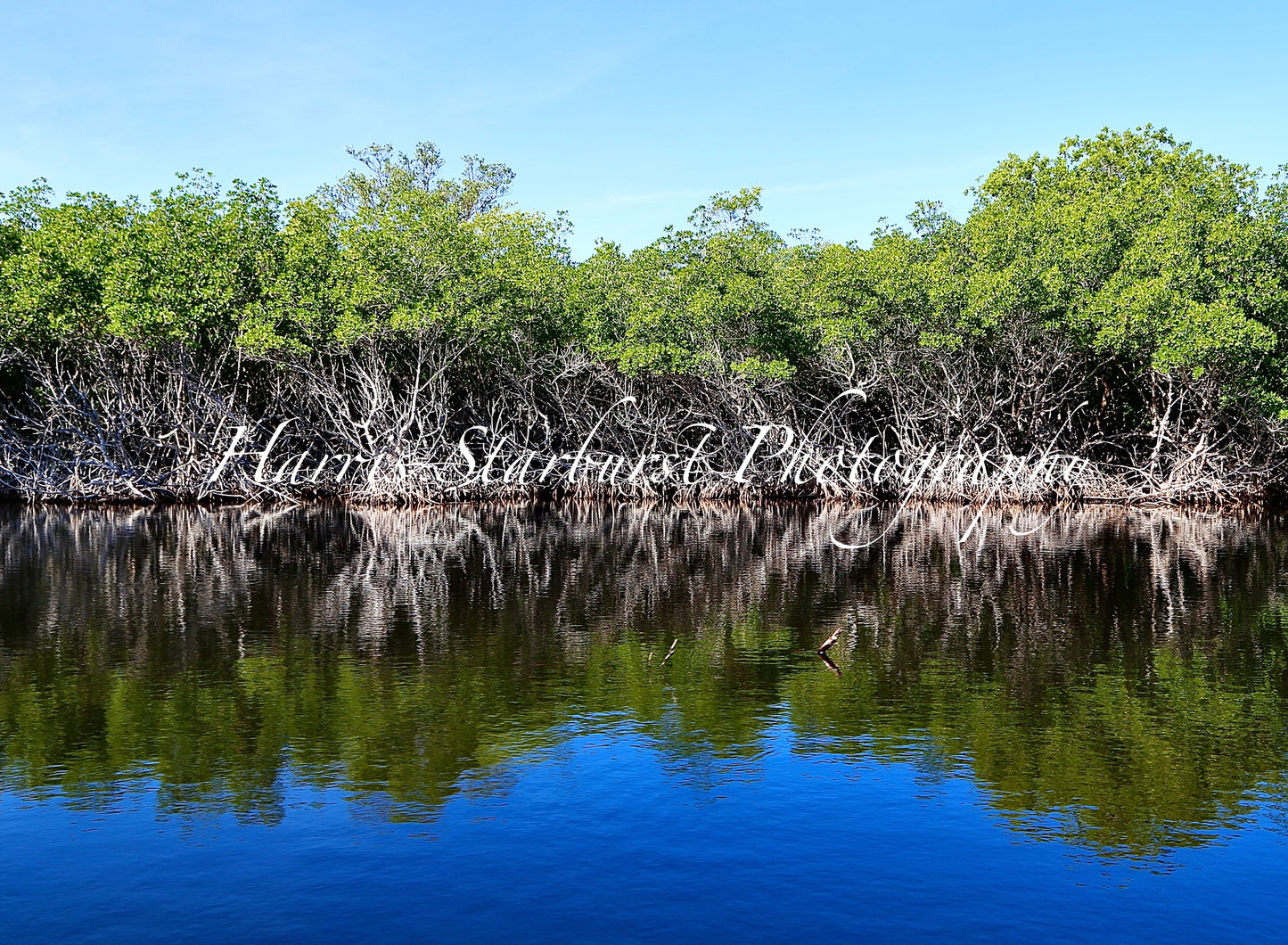 Everglades, Florida - 1