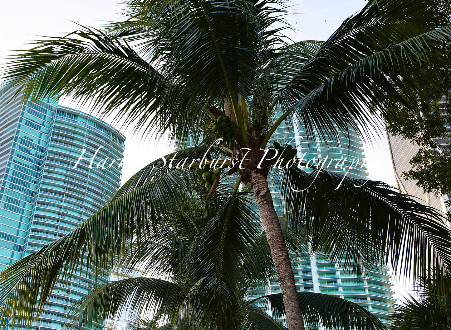 Miami, Florida - 3