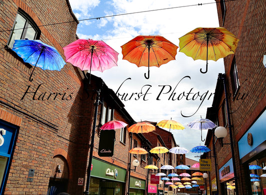 York, UK - Umbrellas