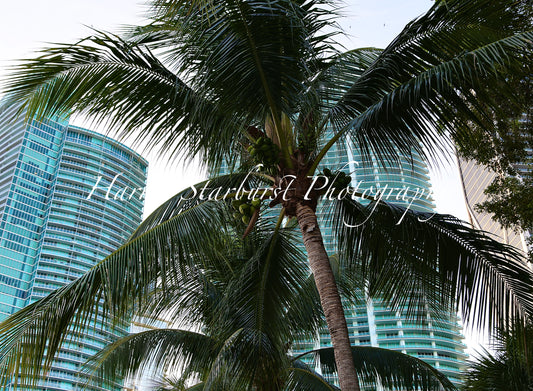 Miami, Florida - 3