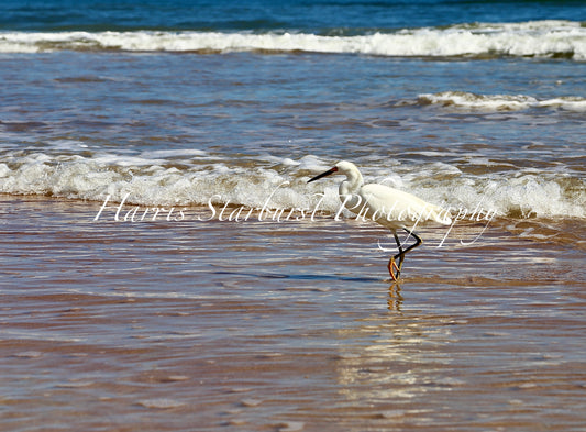 Daytona Beach, Florida - 6