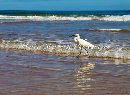 Daytona Beach, Florida - 7