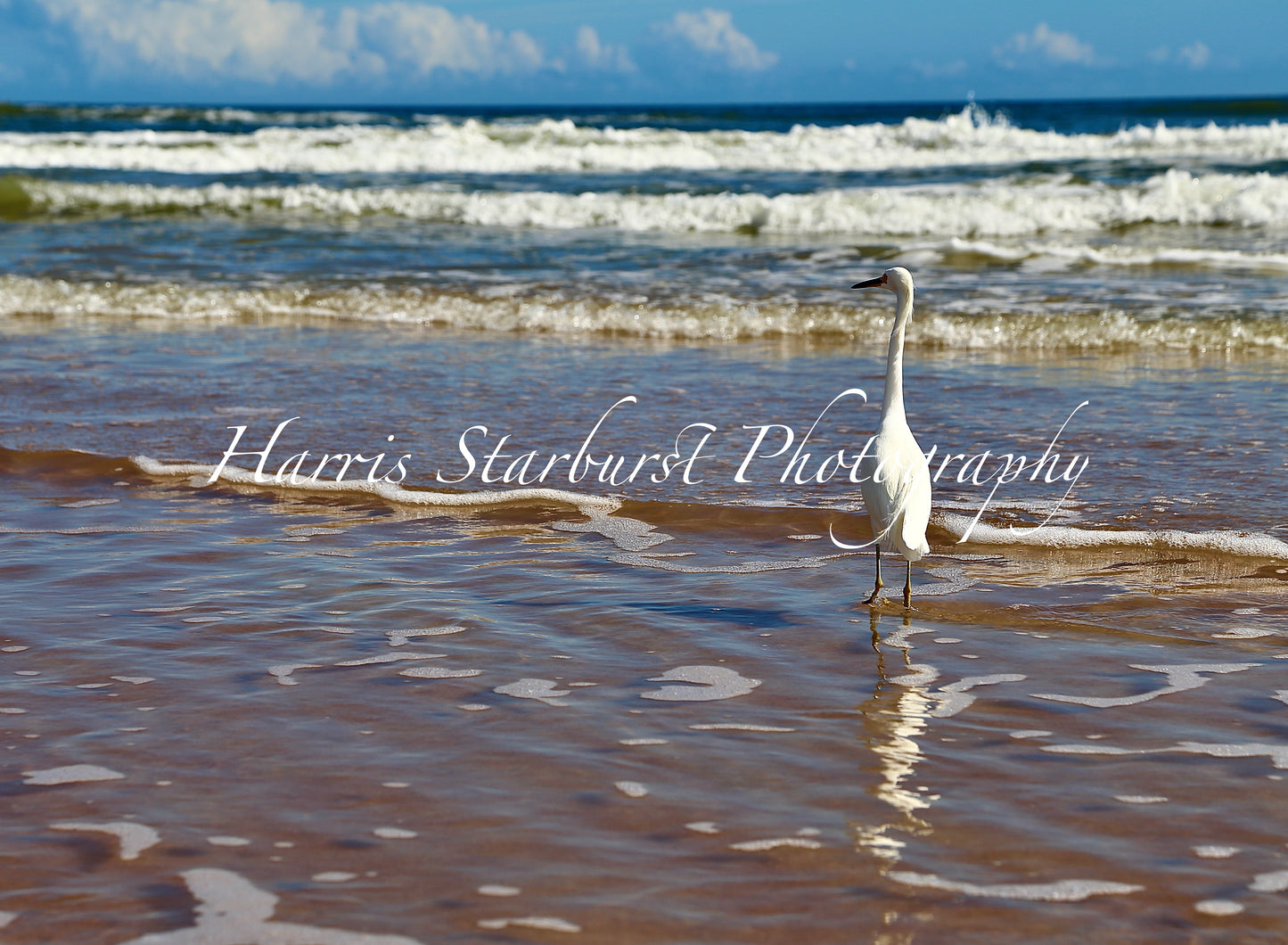Daytona Beach, Florida - 1