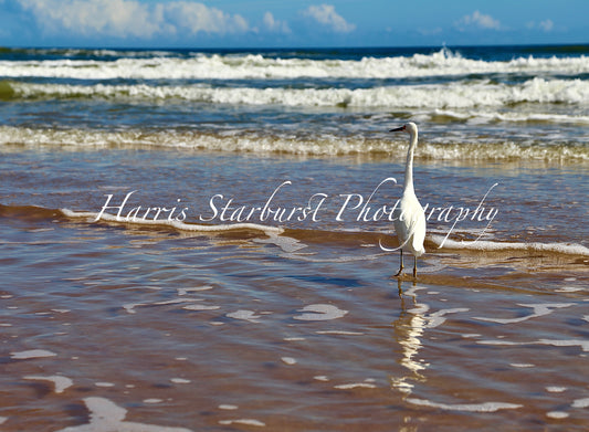 Daytona Beach, Florida - 1