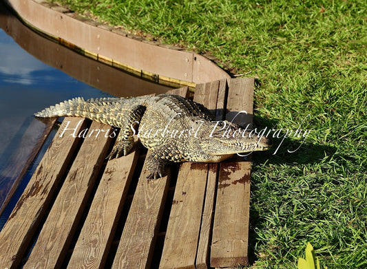 Orlando, Florida - 3