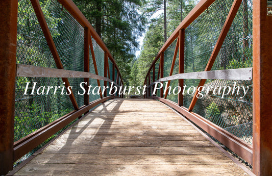 Sly Park, California, USA 4