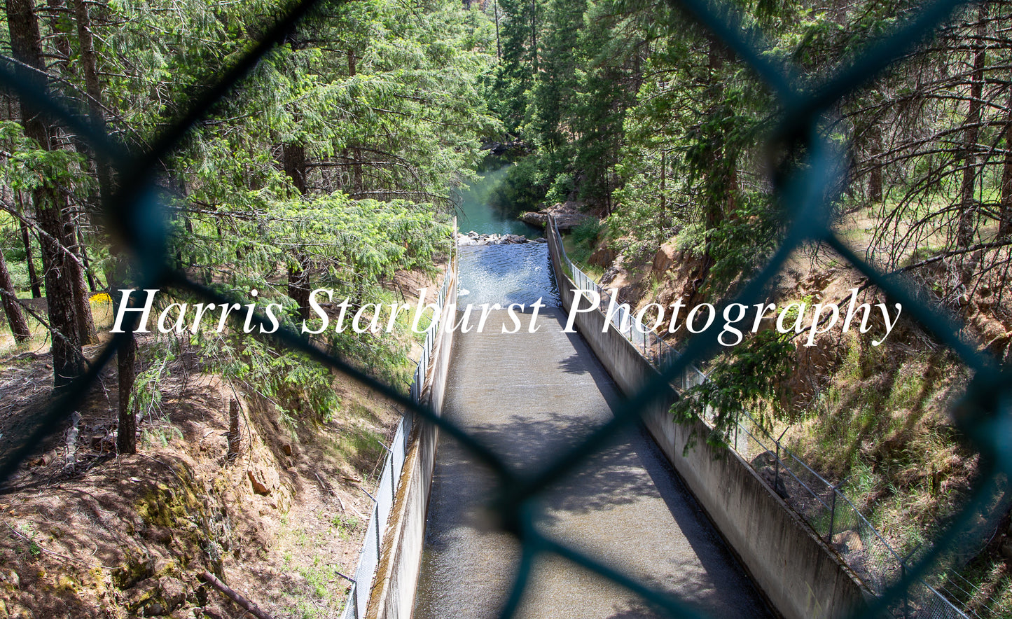 Sly Park, California, USA 5