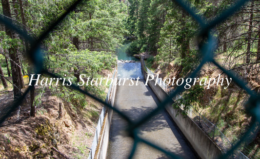 Sly Park, California, USA 5