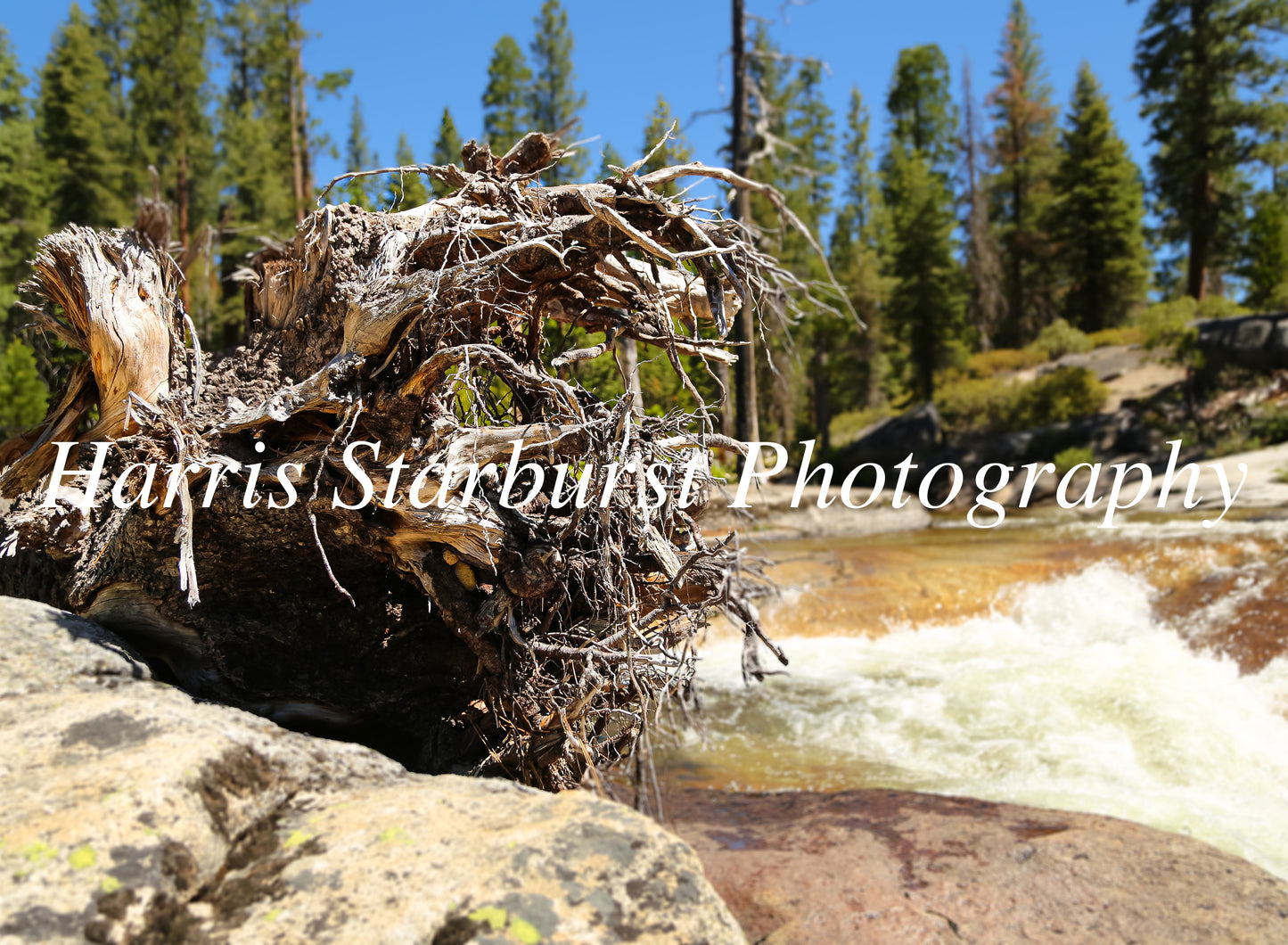 Bassi Falls, California, USA 3