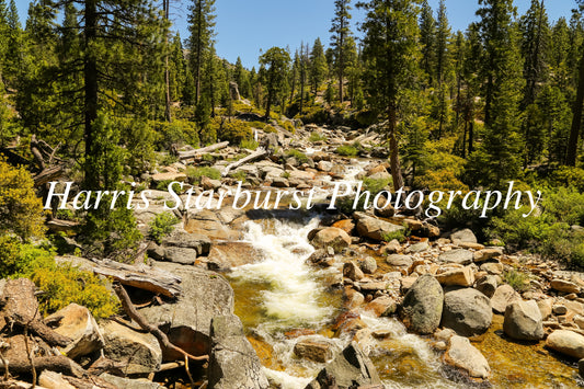 Bassi Falls, California, USA 4