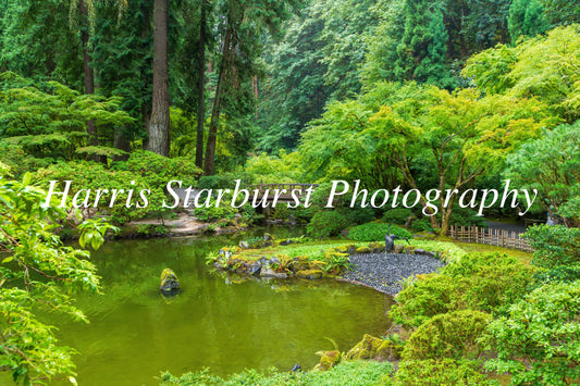 Japanese Garden, Portland, USA 1