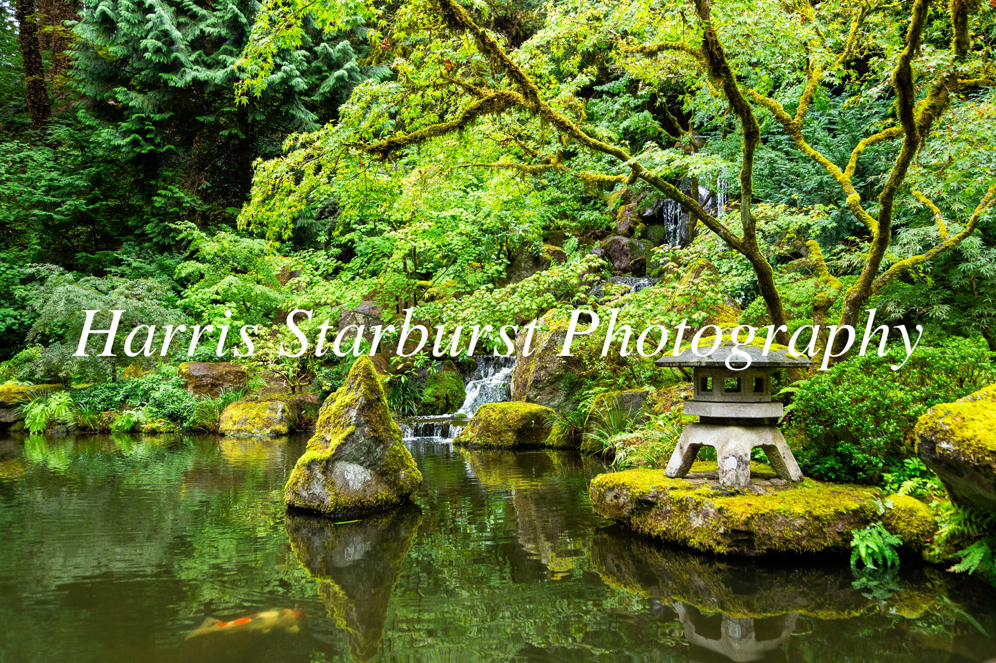 Japanese Garden, Portland, USA 3