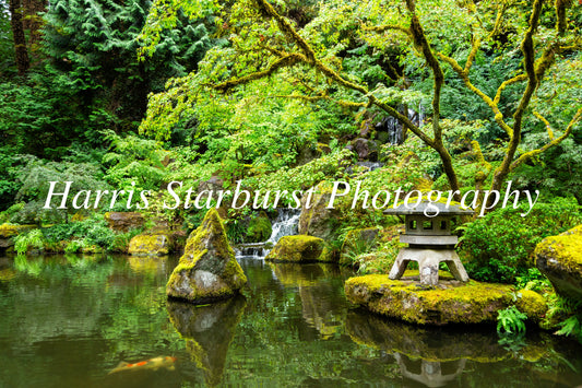Japanese Garden, Portland, USA 3